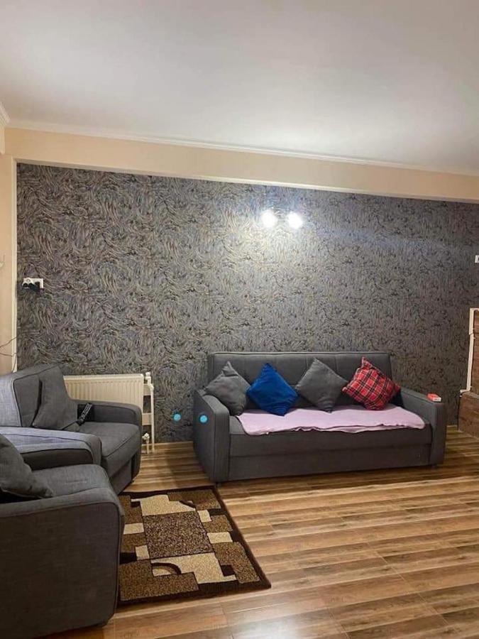 Bakuriani Resort Cottage 1 Storey Екстер'єр фото